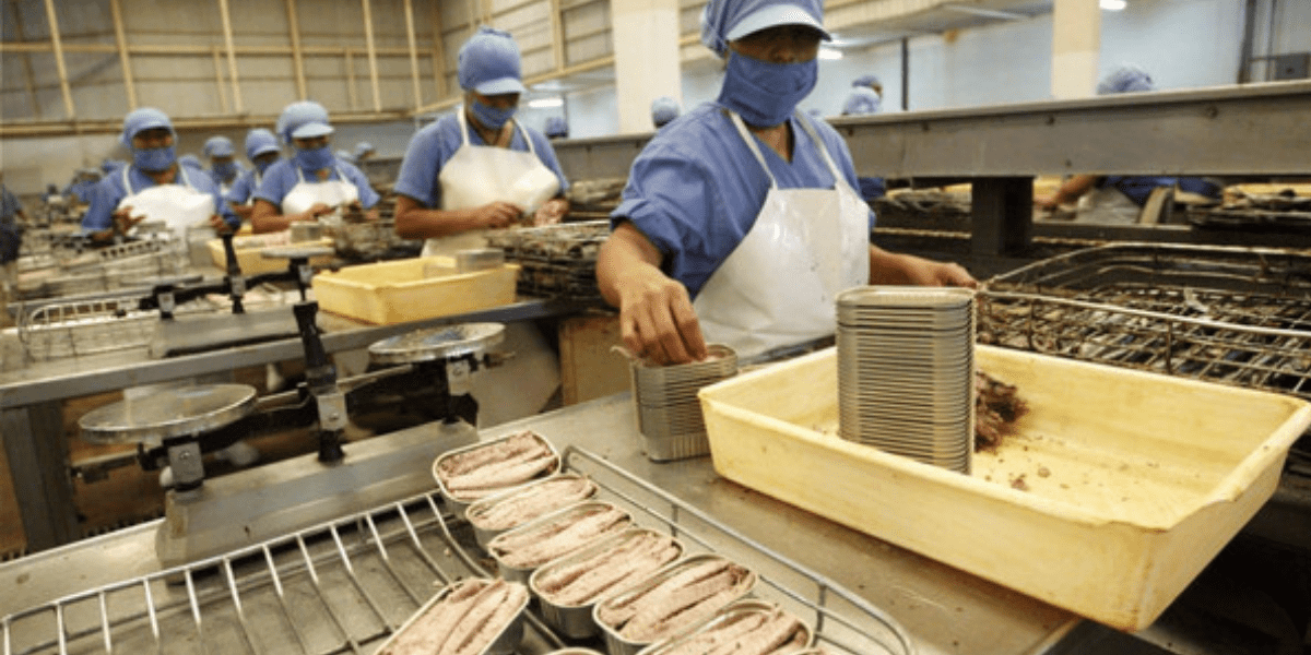 Imagen del artículo Gremio conservero apoya al Gobierno para desterrar la anemia y desnutrición